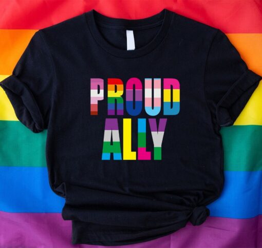 LGBTQ Ally Shirt, Proud Ally Shirt,LGBT Pride Shirt,Token Straight Friend Tee,LGBTQ Shirt,Proud Ally Tee