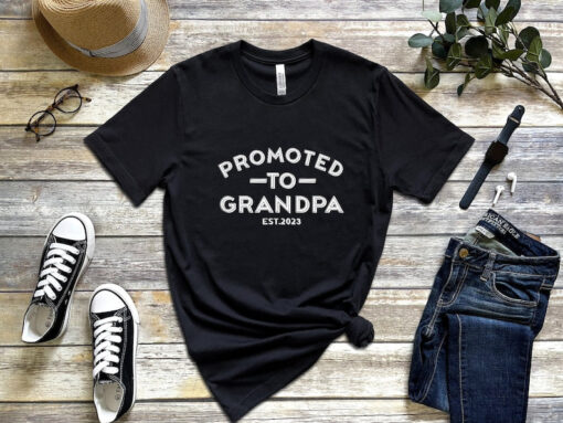 Promoted to grandpa EST 2023 shirt, Disney Pregnancy Shirt, Grandpa Shirt