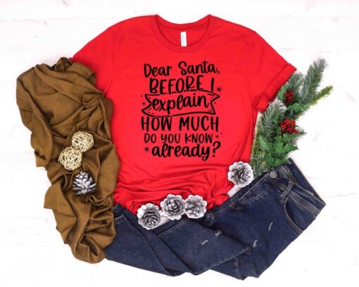 Dear Santa Shirt, Funny Christmas Shirt, Naughty Joyful Mistletoe Blessing Friends Snow Noel Shirt, Christmas Winter Shirt