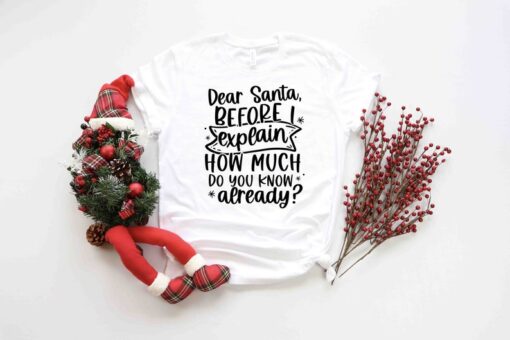 Dear Santa Shirt, Funny Christmas Shirt, Naughty Joyful Mistletoe Blessing Friends Snow Noel Shirt, Christmas Winter Shirt