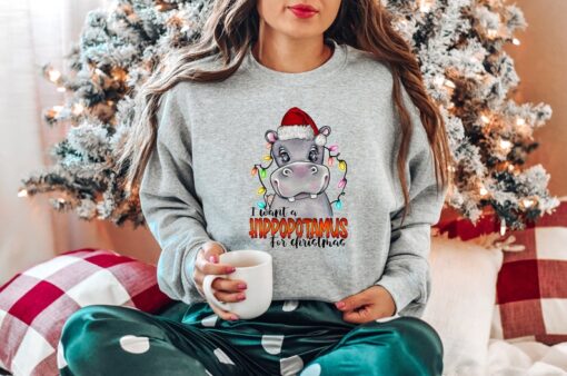 I Want A Hippopotamus For Christmas Sweatshirt, Christmas Hippopotamus Shirt, Funny Christmas Gift Shirt