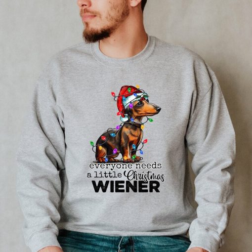 Everyone Needs A Little Christmas Wiener Sweatshirt, Christmas Sweatshirt, Christmas Dog Sweater, Christmas Lights Sweat