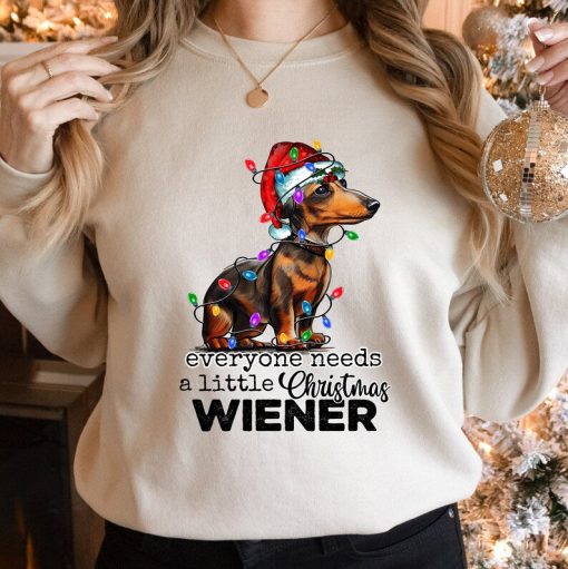 Everyone Needs A Little Christmas Wiener Sweatshirt, Christmas Sweatshirt, Christmas Dog Sweater, Christmas Lights Sweat