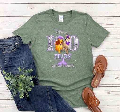 Disney 100 Years Of Wonder Shirt Funny Disney Shirt