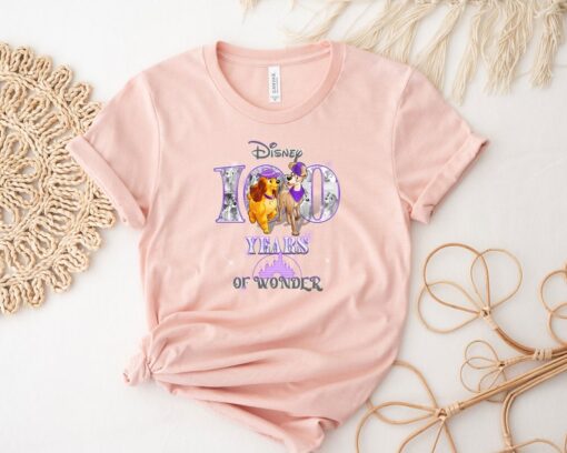 Disney 100 Years Of Wonder Shirt Funny Disney Shirt