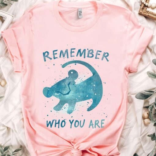 Disney The Lion King Simba Remember Who You Are Splatter Shirt, Magic Kingdom Trip Unisex T-shirt Family Birthday Gift Adult Kid Toddler Tee