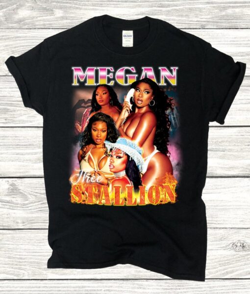 Meg the stallion, Meg the stallion vintage tshirt, unisex shirt, concert Meg the stallion shirt