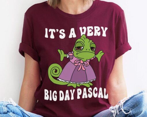 Disney Tangled Pascal It's A Very Big Day Pascal T-shirt / Funny Disney Tee / Disneyland Family Vacation Trip