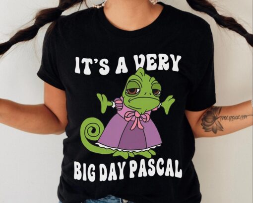 Disney Tangled Pascal It's A Very Big Day Pascal T-shirt / Funny Disney Tee / Disneyland Family Vacation Trip