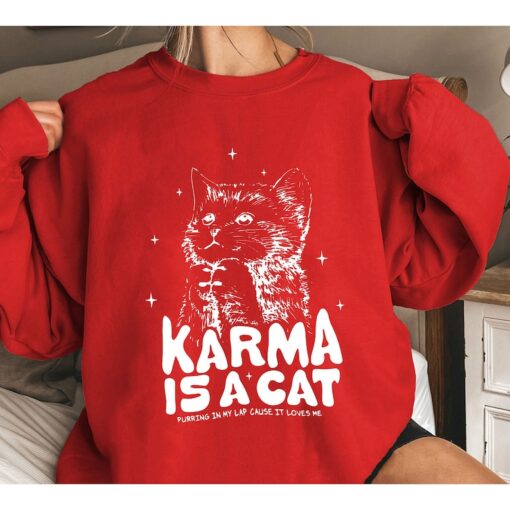 Karma is a Cat Sweatshirt, Music Albums As Books Shirt, Taylor Eras Cat Lover Kids Tshirt, Cat Lover Hoodie