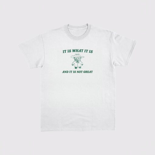 It is what it is and it ain't great Unisex Heavy Cotton Tee