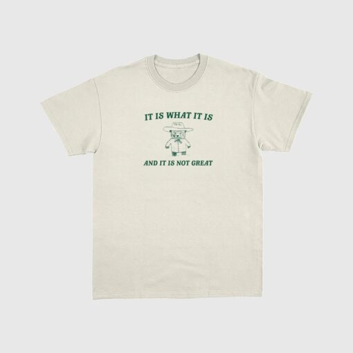 It is what it is and it ain't great Unisex Heavy Cotton Tee