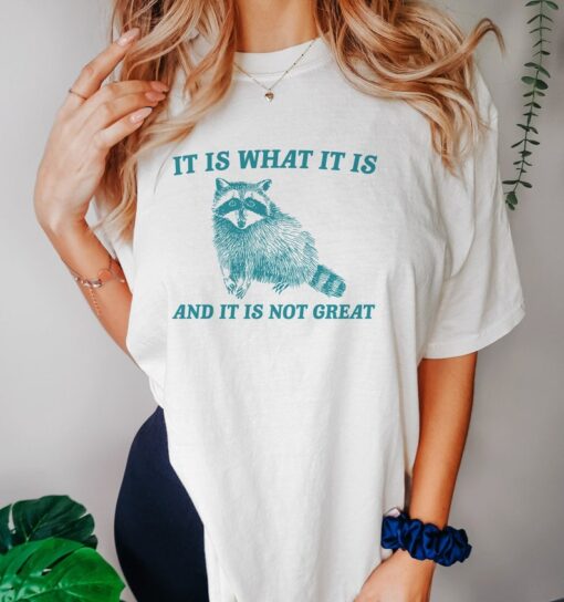 It Is What It Is And It Is Not Great - Vintage Drawing T Shirt, Raccoon Meme T Shirt, Funny Trash Panda T Shirt