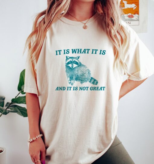 It Is What It Is And It Is Not Great - Vintage Drawing T Shirt, Raccoon Meme T Shirt, Funny Trash Panda T Shirt