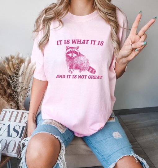 It Is What It Is And It Is Not Great - Vintage Drawing T Shirt, Raccoon Meme T Shirt, Funny Trash Panda T Shirt