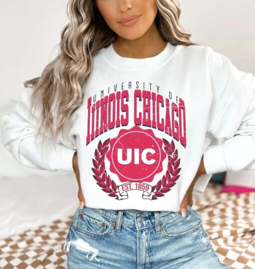 Vintage style University of Illinois–Urbana-Champaign Shirt, Illinois University Shirt, Illinois College Shirt